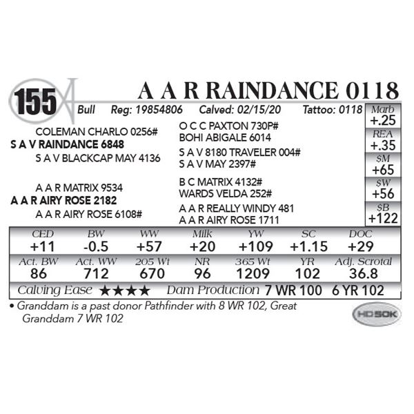 A A R Raindance 0118