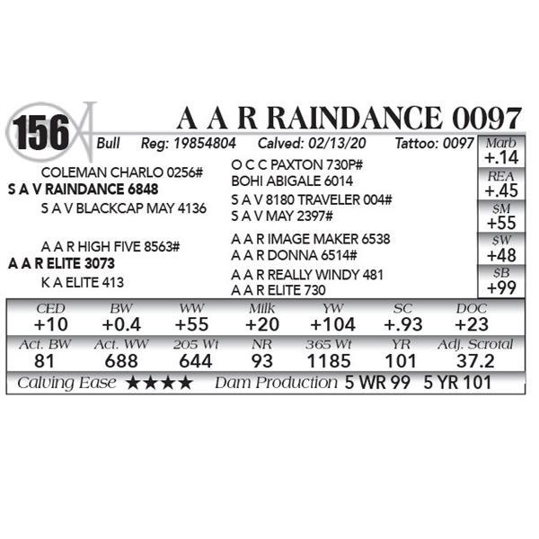 A A R Raindance 0097