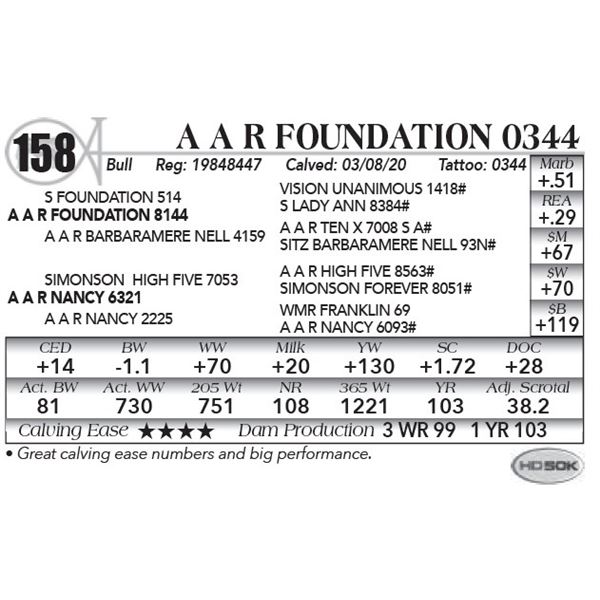 A A R Foundation 0344