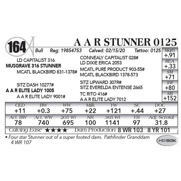 A A R Stunner 0125