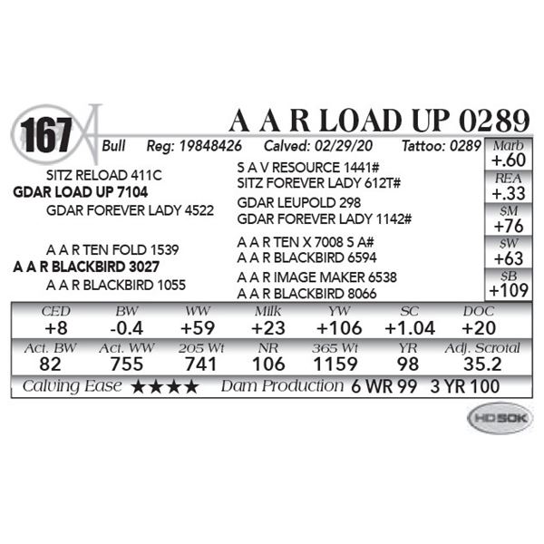 A A R Load Up 0289