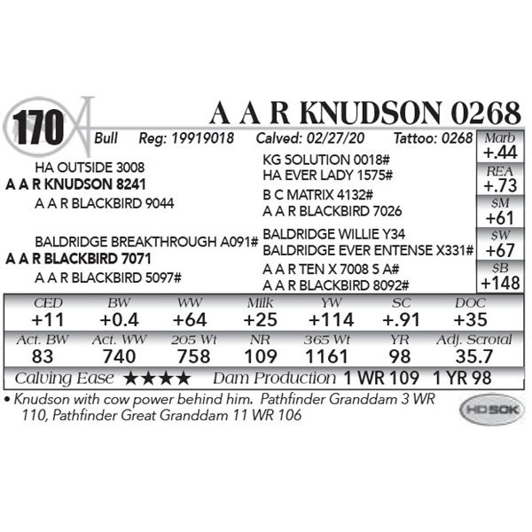 A A R Knudson 0268