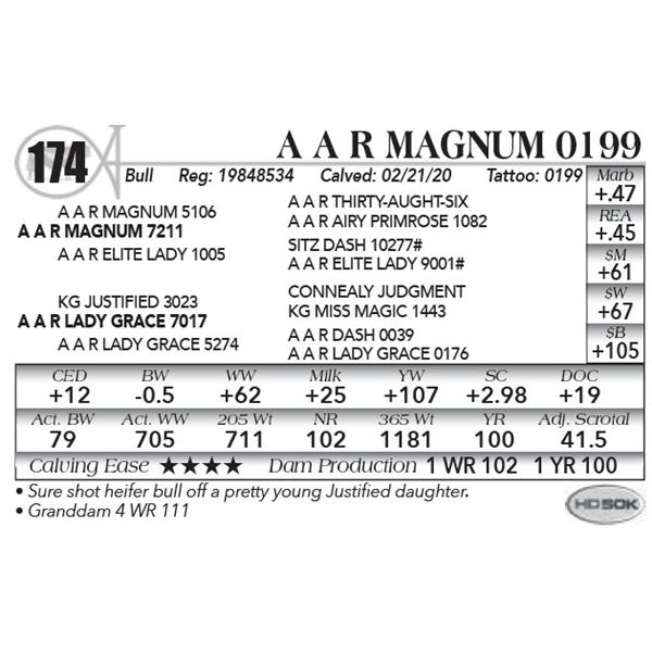 A A R Magnum 0199