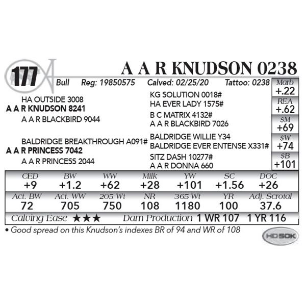 A A R Knudson 0238