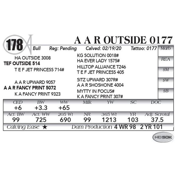 A A R OUTSIDE 0177