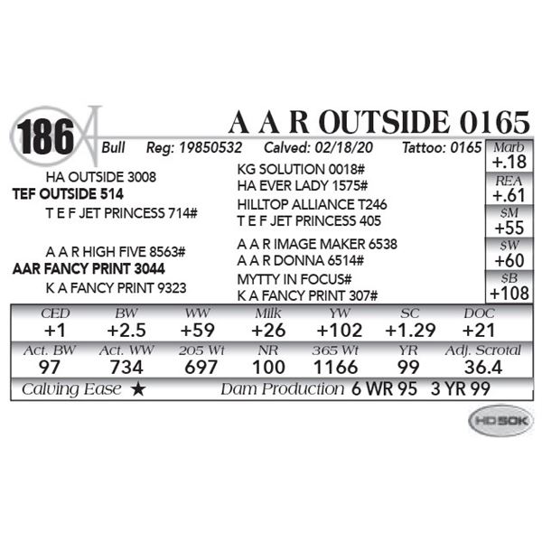 A A R Outside 0165