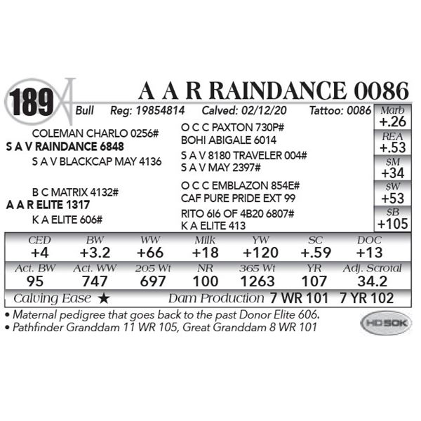A A R Raindance 0086