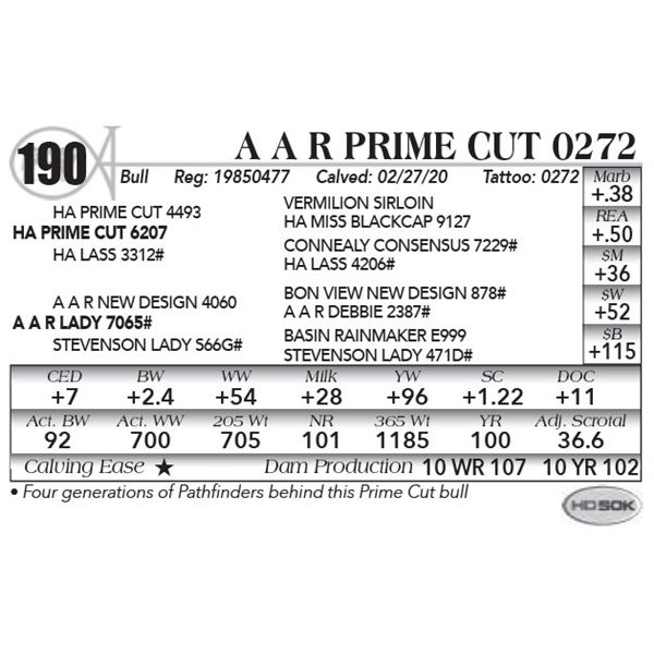 A A R Prime Cut 0272