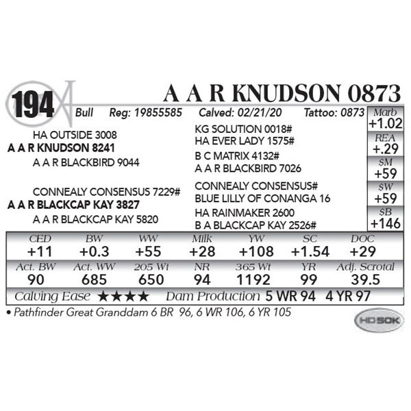 A A R Knudson 0873