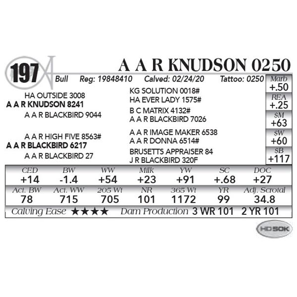A A R Knudson 0250