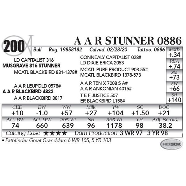 A A R Stunner 0886