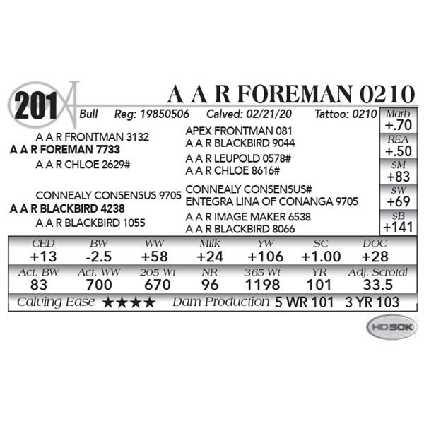 A A R Foreman 0210