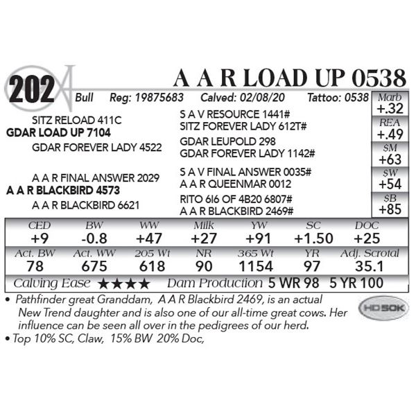 A A R Load Up 0538