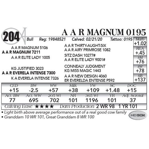A A R Magnum 0195