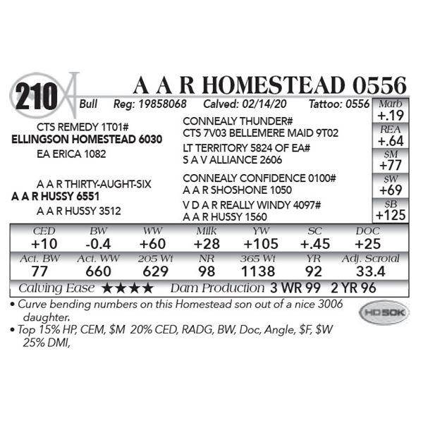 A A R Homestead 0556