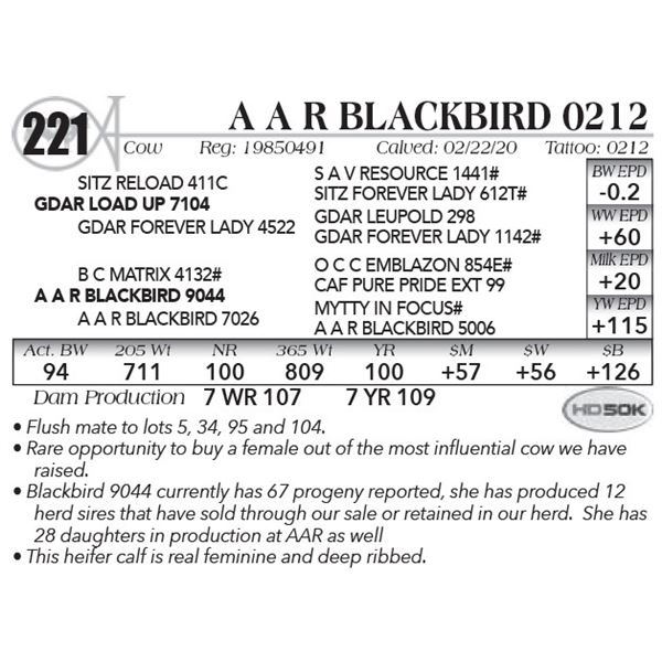 A A R Blackbird 0212