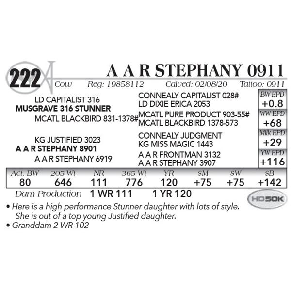 A A R Stephany 0911