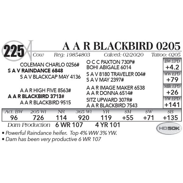 A A R Blackbird 0205
