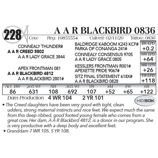 A A R Blackbird 0836
