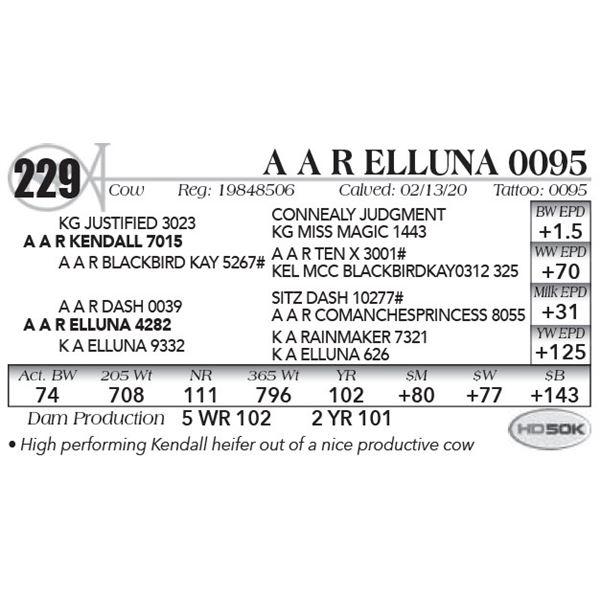A A R Elluna 0095