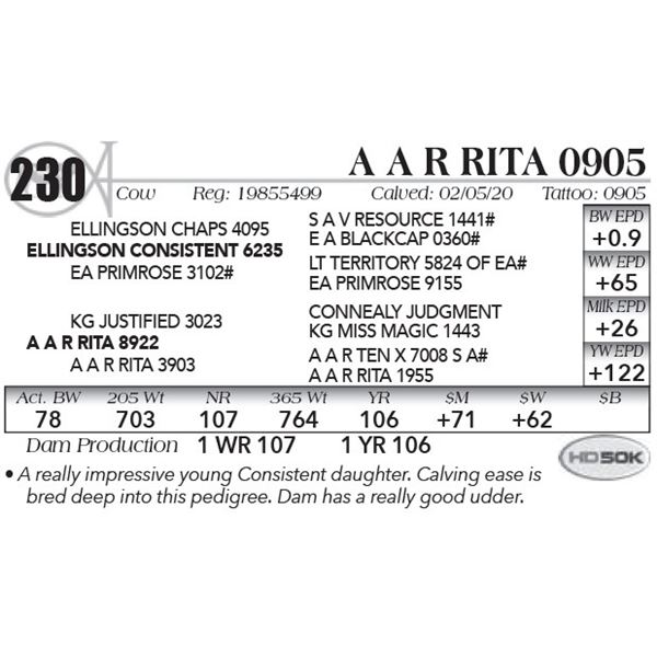 A A R Rita 0905