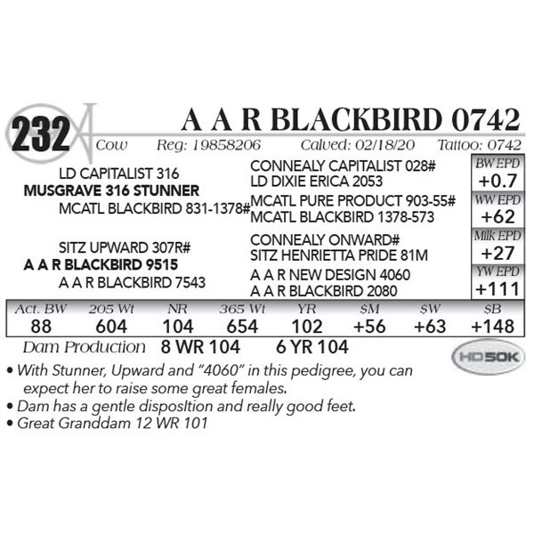 A A R Blackbird 0742