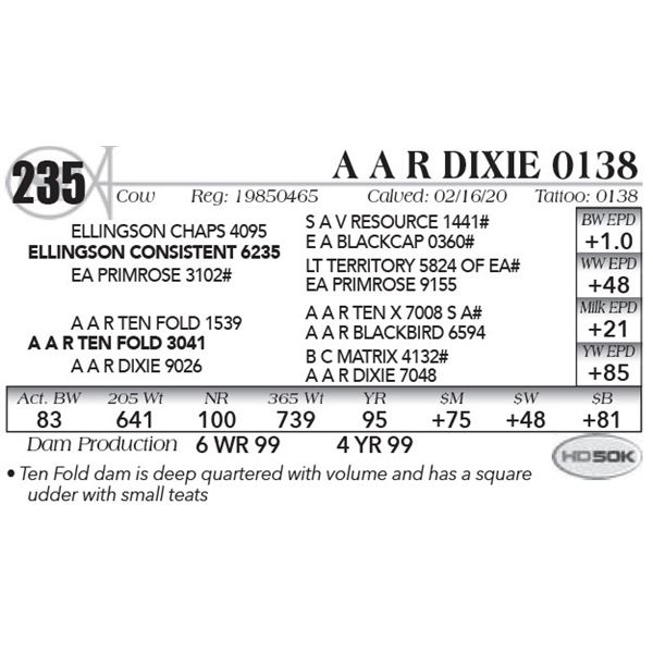 A A R Dixie 0138