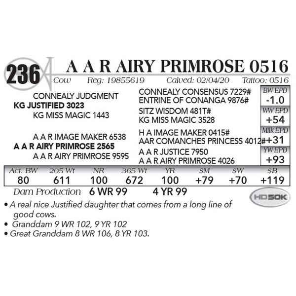 A A R Airy Primrose 0516