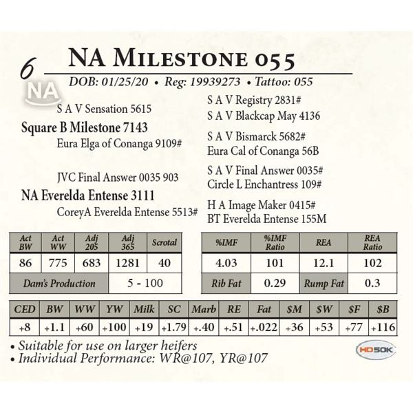 NA Milestone 035