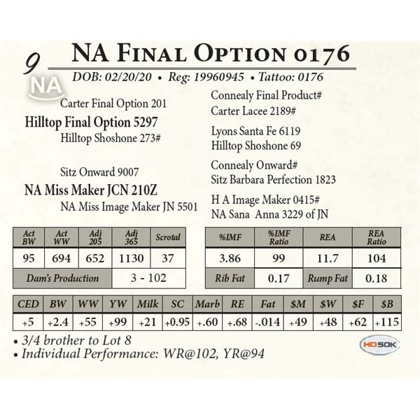 NA Final Option 0176