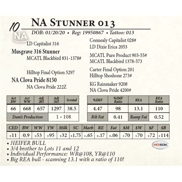 NA Stunner 013