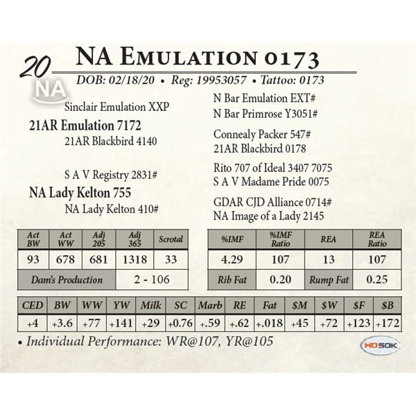 NA Emulation 0173