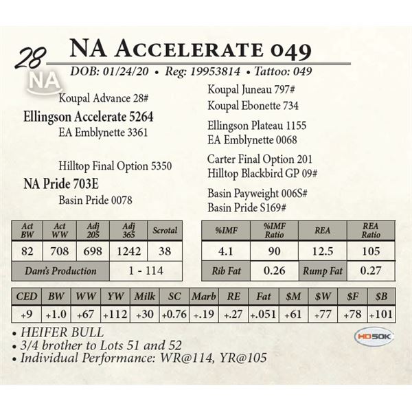 NA Accelerate 049