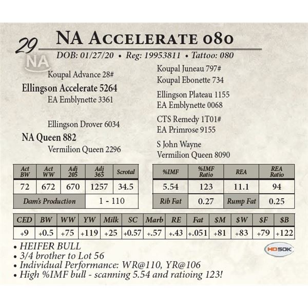 NA Accelerate 080