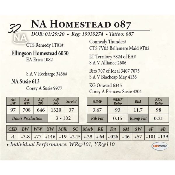 NA Homestead 087
