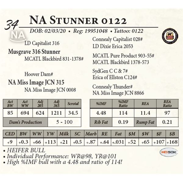 NA Stunner 0122