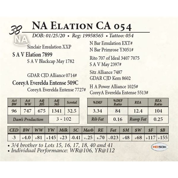 NA Elation CA 054