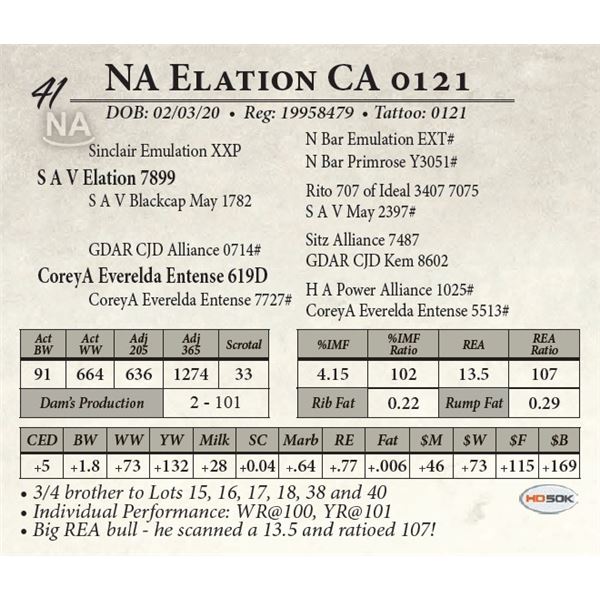 NA Elation CA 0121