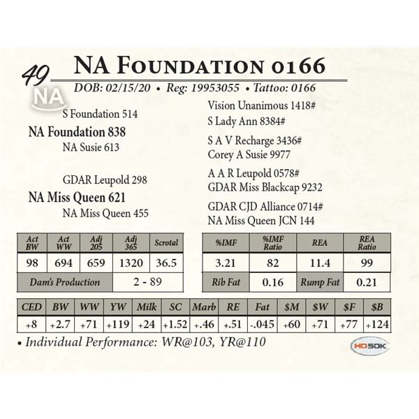 NA Foundation 0166