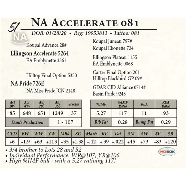 NA Accelerate 081