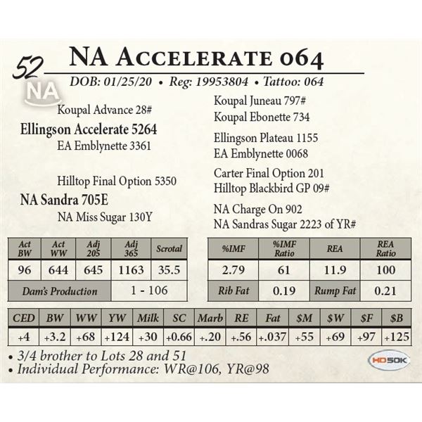 NA Accelerate 064