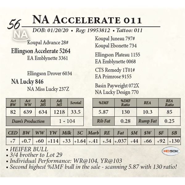 NA Accelerate 011