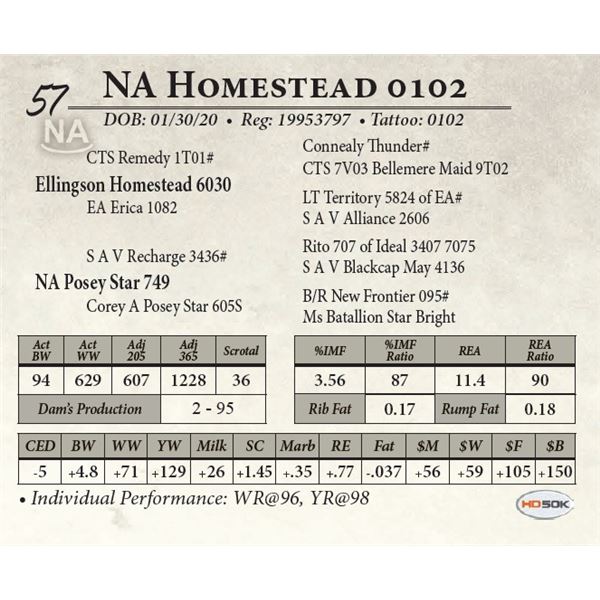 NA Homestead 0102