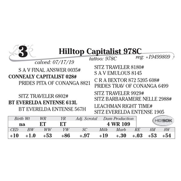 MH Capitalist 978C