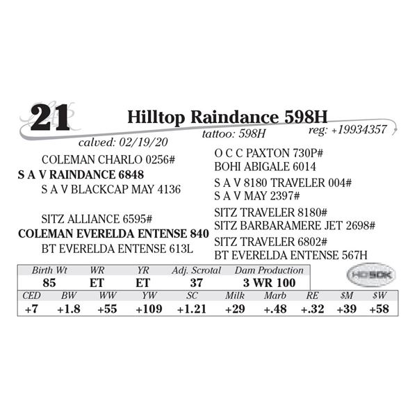 Hilltop Raindance 598H