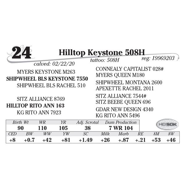 Hilltop Keystone 508H