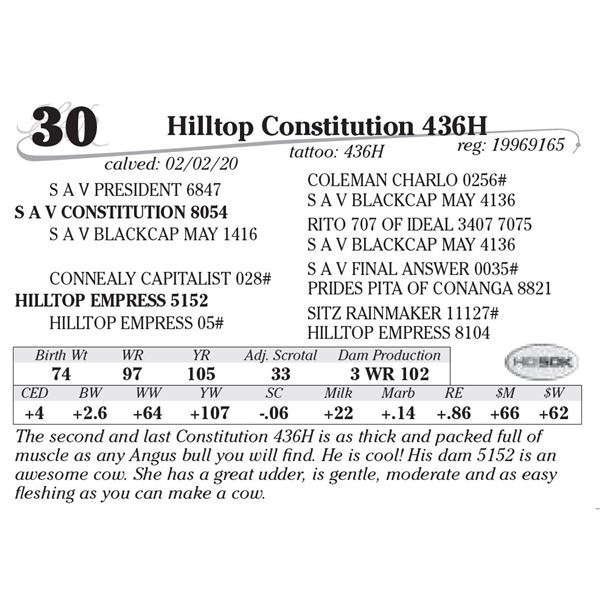 Hilltop Constitution 436H