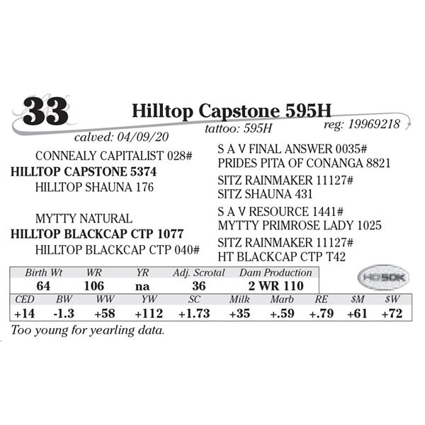 Hilltop Capstone 595H