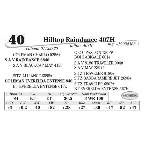 Hilltop Raindance 407H