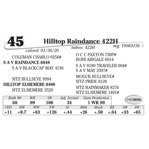Hilltop Raindance 422H
